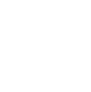 BISTRO BUDDY orb mark